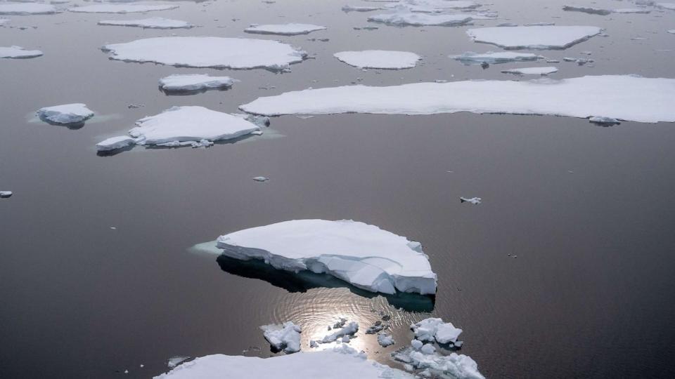 PHOTO: Sea ice floats in the water. (KT Miller/Polar Bears International)