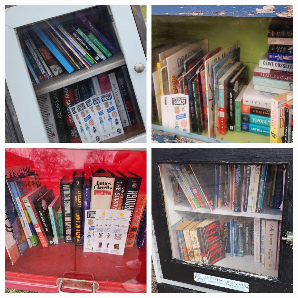 Thank to the efforts of the Family Coalition, Little Free Libraries in Monroe County include high quality books, featuring educational content.