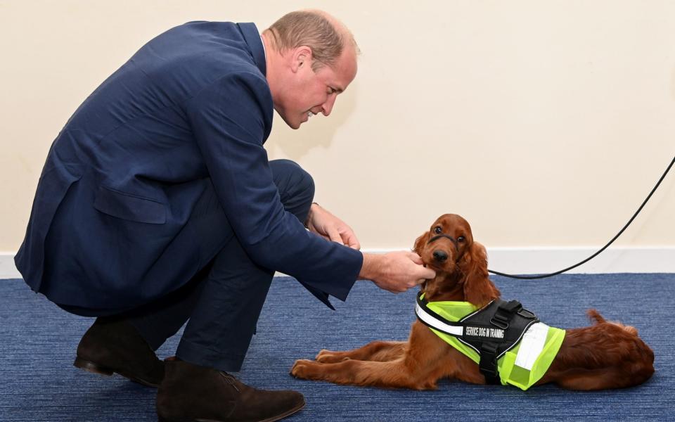 Prince William meets Tara, who is trained to help people with PTSD - Pool