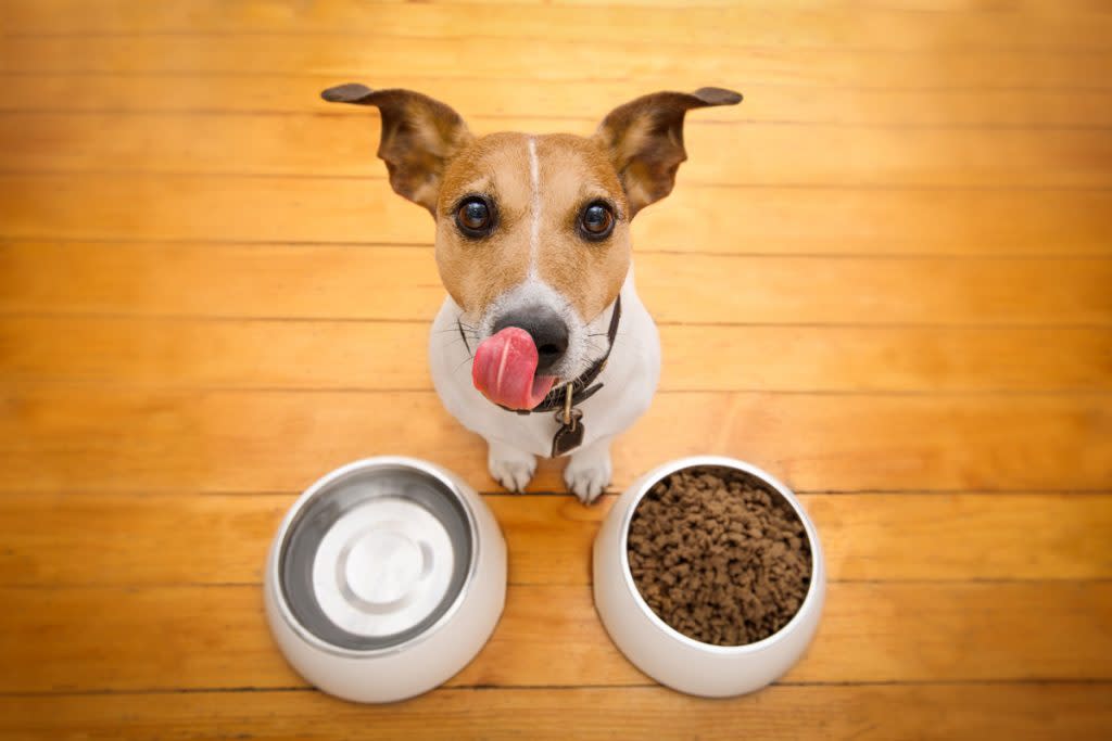 A dog licks his lip with a bowl full of food and water below him. 