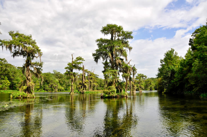 Wakulla Springs