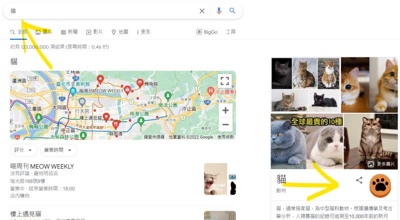▲在電腦版、手機版Google搜尋輸入「貓」並搜尋，會出現橘色貓掌按鈕。（圖／翻攝畫面）