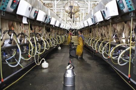 Worker work in a dairy in the kibbutz of Nir Oz, near the Israeli-Gaza border in southern Israel December 18, 2014. REUTERS/Amir Cohen