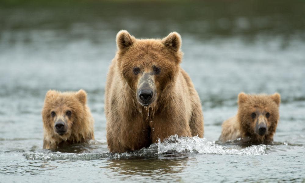 <span>Photograph: Tony Campbell/BBC/Shutterstock</span>