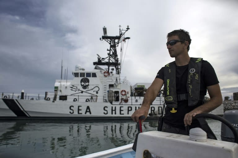 Activists from the US environmental group Sea Shepherd patrol the waters off San Felipe, in the Gulf of California, day and night in a camouflaged ship to find poaching boats and their nets