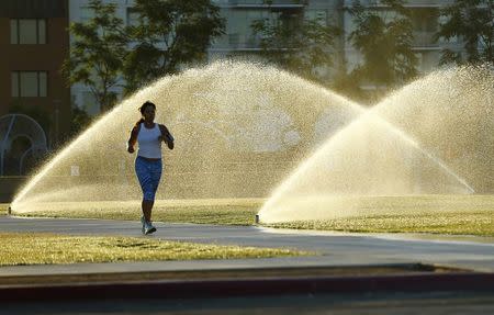 Sprinklers spray water onto grass as a jogger runs through a city park in San Diego, California September 12, 2014. REUTERS/Mike Blake/File Photo