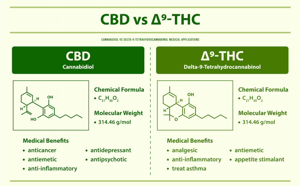 Delta-9 THC is believed to be the primary cannabinoid that gives marijuana its psychoactive effects. Both CBD and marijuana have been shown in studies to be beneficial for various medicinal uses. <a href="https://www.gettyimages.com/detail/illustration/vs-9-thc-cannabidiol-vs-delta-9-royalty-free-illustration/1305259512" rel="nofollow noopener" target="_blank" data-ylk="slk:About time/iStock via Getty Images Plus;elm:context_link;itc:0;sec:content-canvas" class="link ">About time/iStock via Getty Images Plus</a>