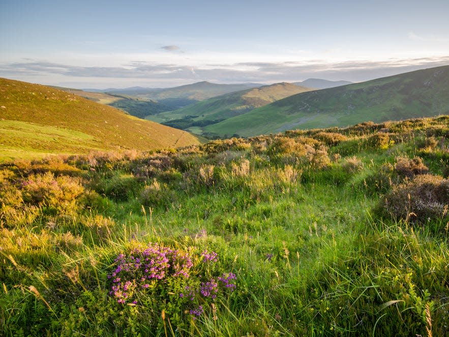 The Wicklow Mountains