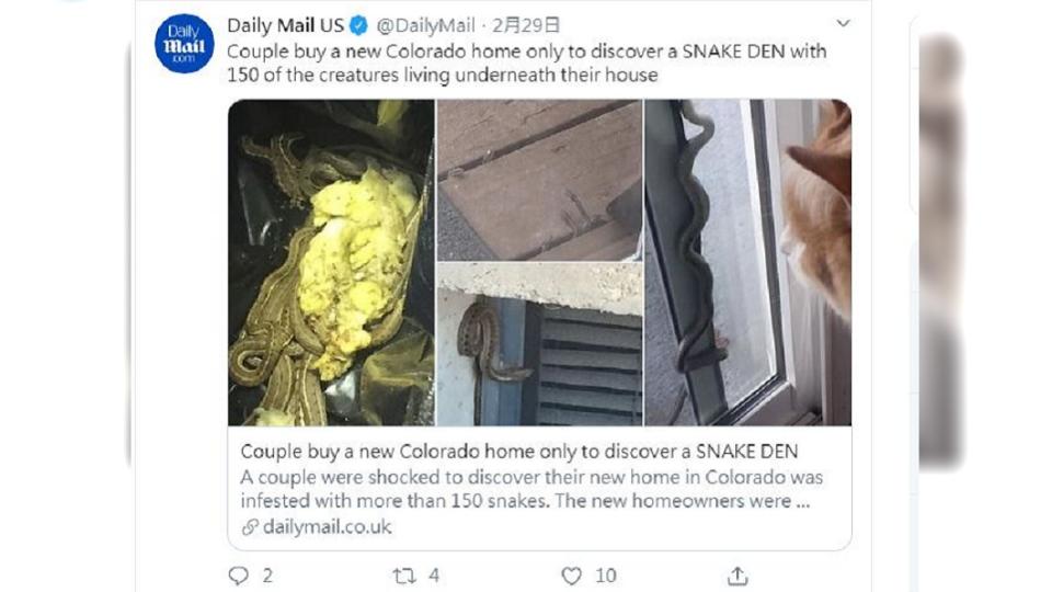 美國1對夫妻買了房子入住後，竟發現家裡藏了蛇窩，超過150條蛇躲在裡面。(圖／翻攝自每日郵報推特)