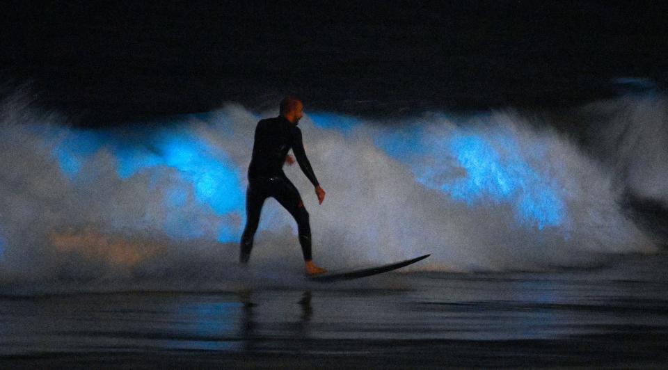 A surfer rides a wave as bioluminescent plankton lights up the surf around him April 30, 2020, in Newport Beach, Calif.