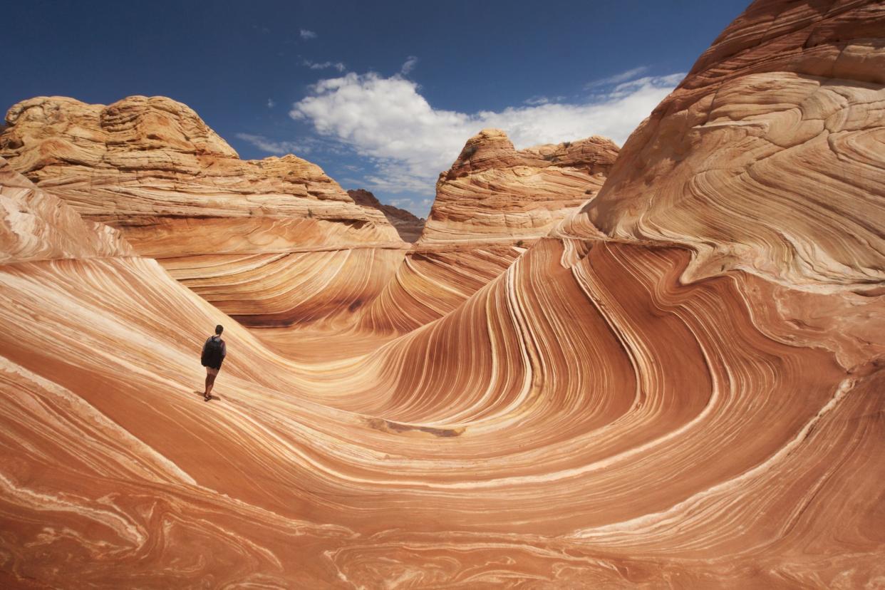 Adult male tourist hikes across the striated sandstone rock formations known as the Wave located within the Paria Canyon-Vermilion Cliffs Wilderness, Page, Arizona, US, North America