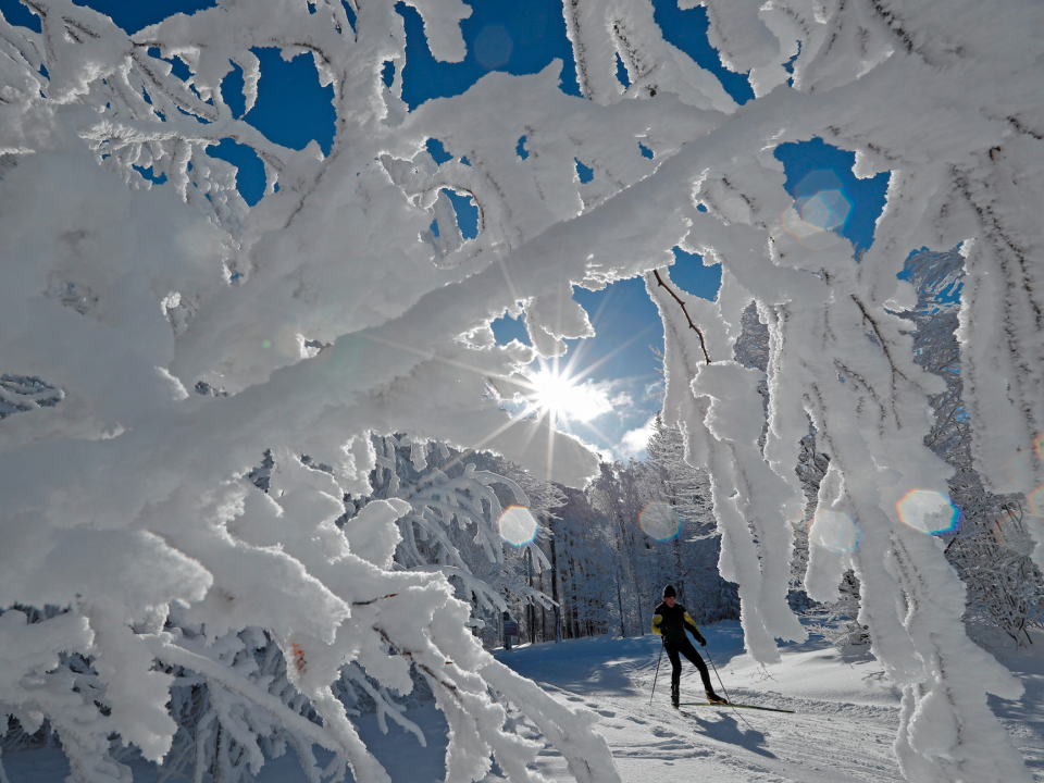 cross-country skiing