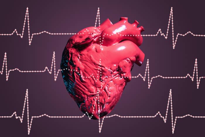 Model of human heart behind illustrated ECG traces, studio shot