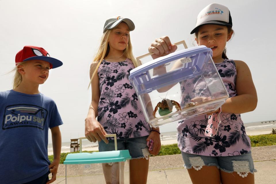Gemma Pastor, 7, left, and Sykora Pastor, 9, look at their live pet crabs they bought at Galveston Beach.
