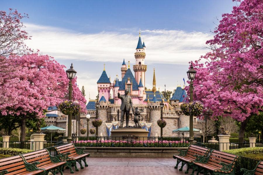 Abuelito demanda a Disneyland tras ser atacado por perro de seguridad