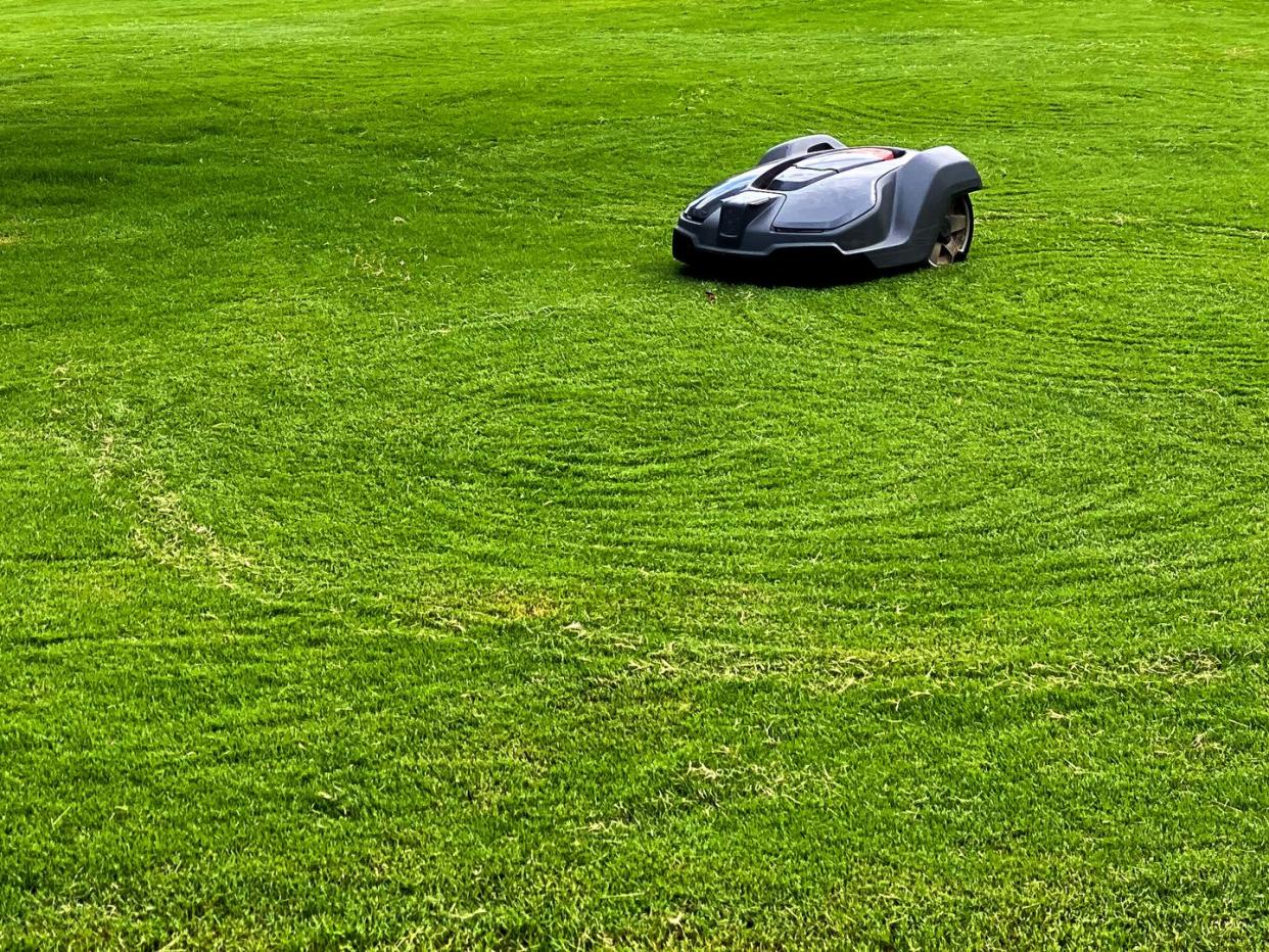 robot lawn mower cutting grass