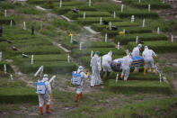 Workers in protective suits carry a coffin containing the body of someone who presumably died of the coronavirus for burial in Medan, North Sumatra, Indonesia, Tuesday, Nov. 24, 2020.(AP Photo/Binsar Bakkara)