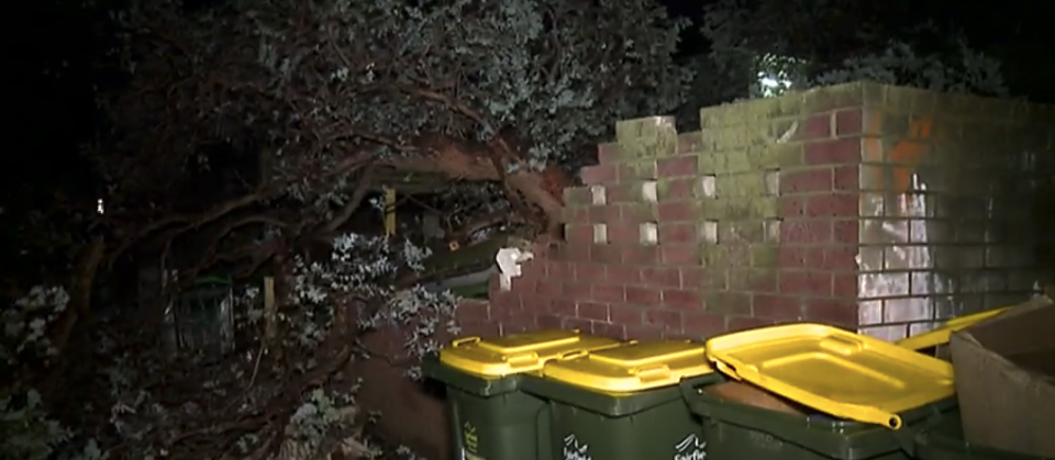 A tree fallen in Sydney as the city braces for further wild weather. Pictured is a damaged brick wall.