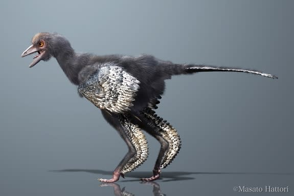 A birdlike dinosaur from the Middle/Late Jurassic of China could be the first of the bird group.