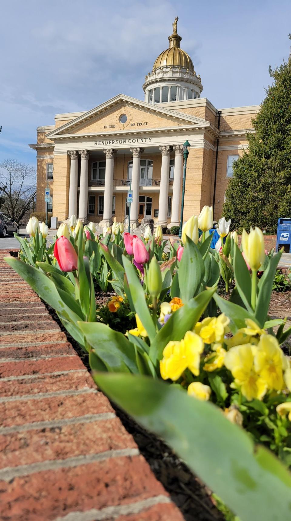Tulips and other flowers are in full bloom along Main Street in downtown Hendersonville on Tuesday, March 29, 2022.