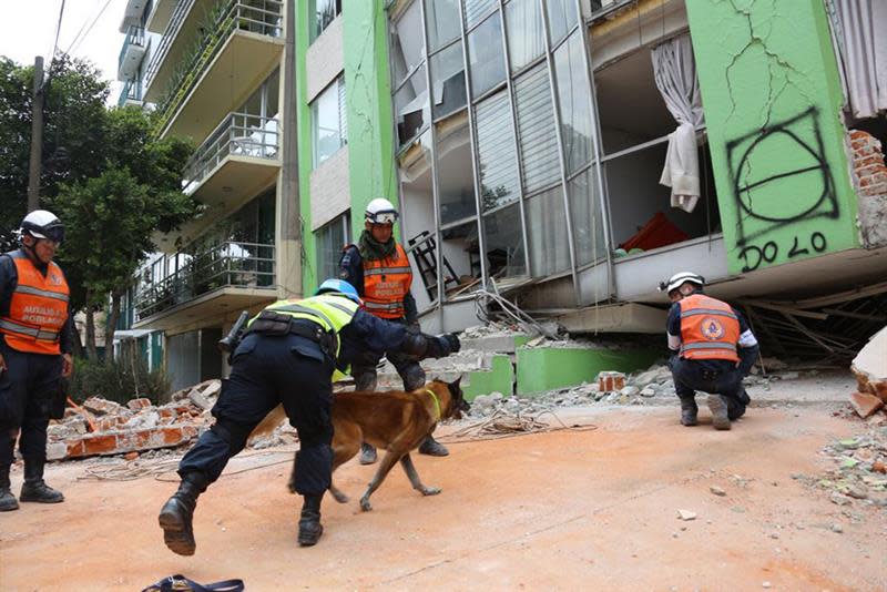 <p>Un grupo especial de rescate de la Policía Federal participa en la búsqueda de personas aun con vida en medio de edificios colapsados tras el sismo de magnitud 7,1 en la escala de Richter que sacudió fuertemente el centro del país este martes, hoy, miércoles 20 de septiembre de 2017, en Ciudad de México (México). EFE </p>