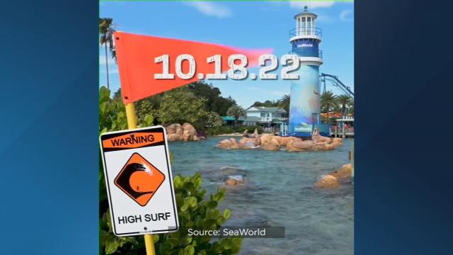 Surf's up: SeaWorld unveils new stand-up roller coaster 'Pipeline' – WFTV