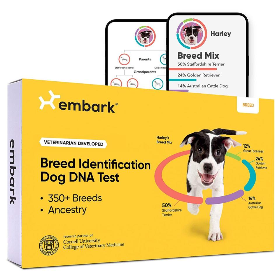 Dog DNA Test