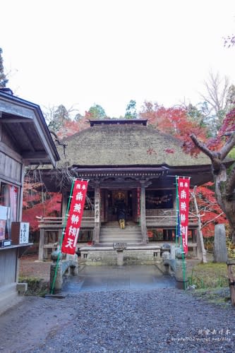 【右上就愛日本旅遊】【日本東北-岩手】東北賞楓疾行（D8-3）中尊寺金色