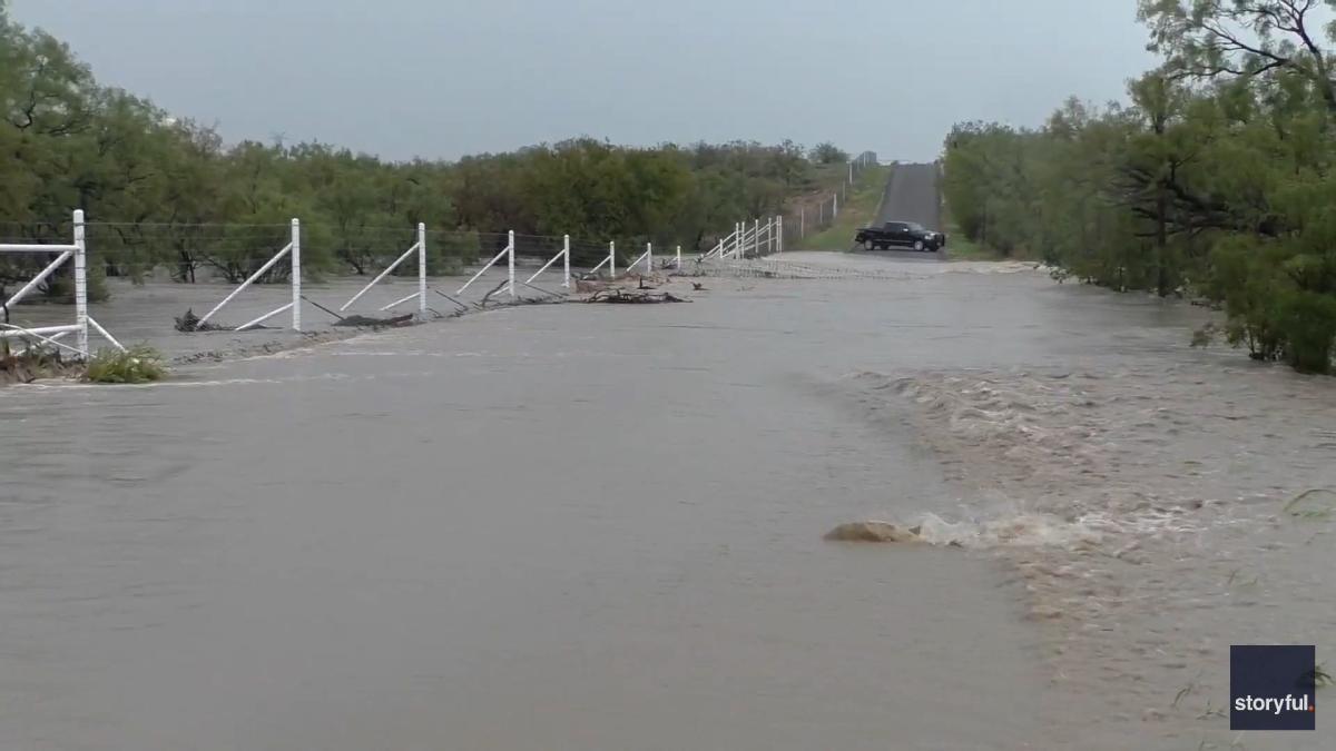 Video shows fish being washed across the road during floods in Central Texas