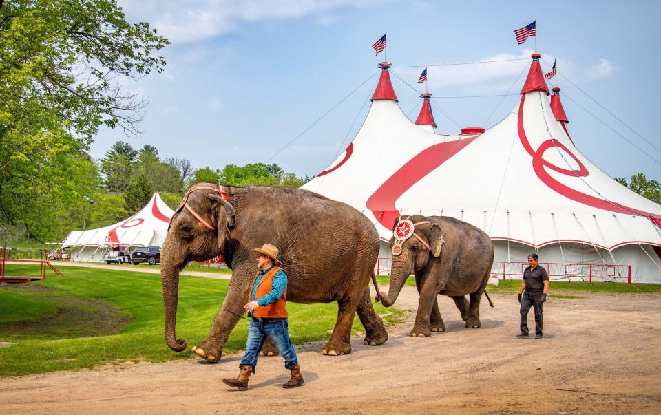 Circus World Elephant Care Superintendent Armando Loyal walks with elephants Kelly and Viola. The elephants will retire from Baraboo's Circus World after the summer 2023 performance season.