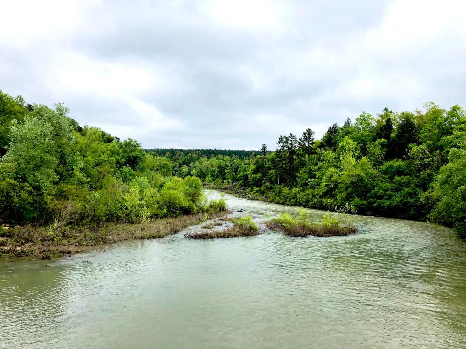 A view shows the Round Mountain Forest area, which eventually will be an official state forest.