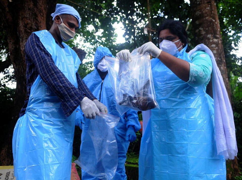 Officials deposit a bat into a Plastic bag after catching it  in Kozhikode, India. 