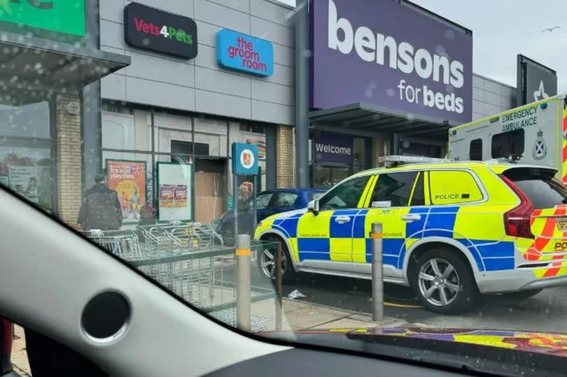 The vehicle struck the front of the store.