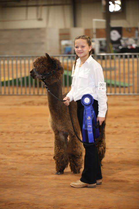 Alpaca Blast-Off. 