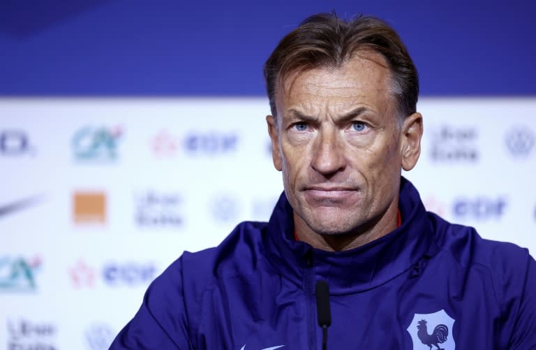 Le sélectionneur de l'équipe de France féminine, Hervé Renard, le 22 février 2024 à Décines-Charpieu (FRANCK FIFE)