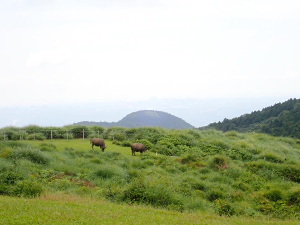 台北擎天崗環形步道＋竹篙山