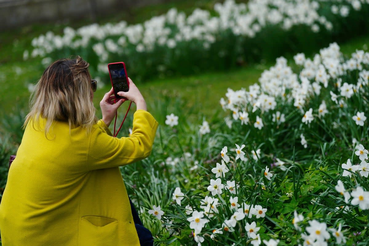 A woman taking pictures of flowers in St James’s Park, London ahead of the Easter weekend on Thursday, 6 April (Victoria Jones/PA Wire)