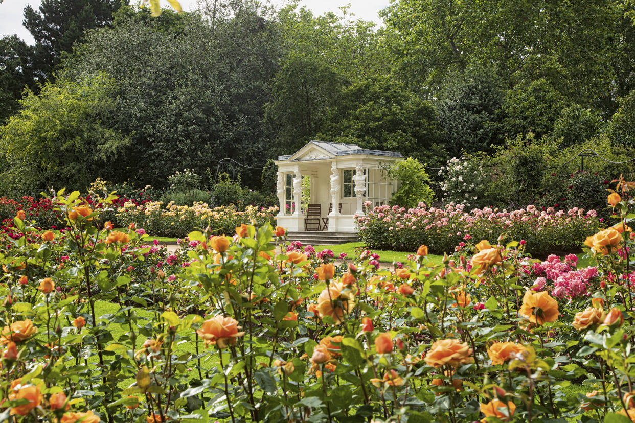 For single use only in connection with Buckingham Palace: A Royal Garden, not to be archived, sold on or used out of context. Undated handout photo issued by the Royal Collection Trust of the Rose Garden at Buckingham Palace in London. The secret of how the Buckingham Palace garden is kept so immaculate is subject of a new behind the scenes book, Buckingham Palace: A Royal Garden, which charts a year in the life of the 39-acre oasis, which boasts sweeping lawns, a 156-metre herbaceous border, wildflower meadows, a rose garden and a 3.5-acre lake. Issue date: Tuesday February 23, 2021.