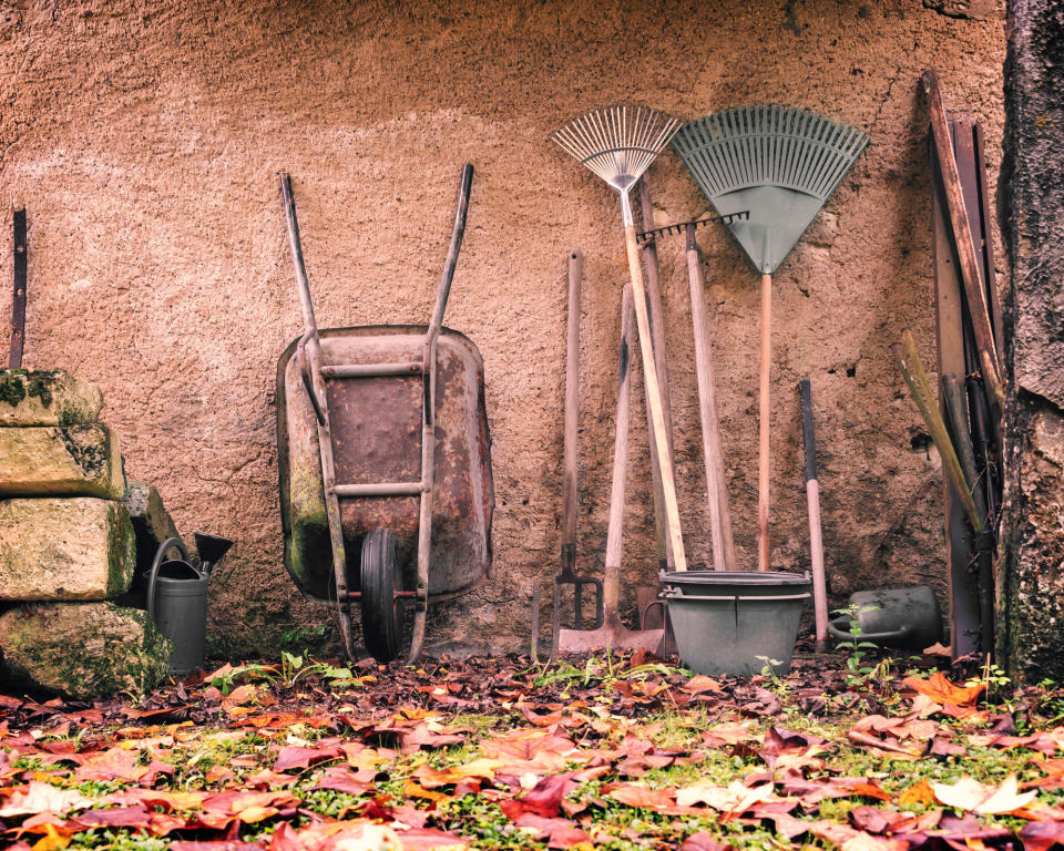 garden tools propped against a wall with garden leaves on the ground