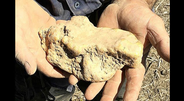 The 4121gram gold nugget found in Victoria. Source: Minelab