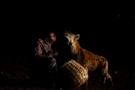 Abbas Yusuf, 23, known as Hyena Man, feeds a hyena on the outskirts of Harar, Ethiopia, February 23, 2017. REUTERS/Tiksa Negeri