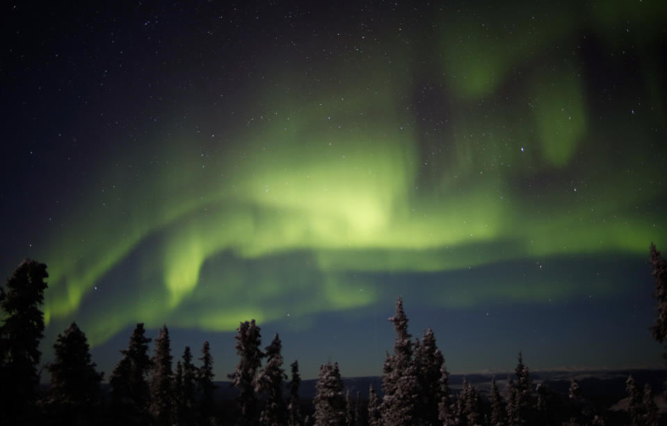 [UNVERIFIED CONTENT] FAIRBANKS, AK - FEBRUARY 19: The green lights of an aurora borealis (the 