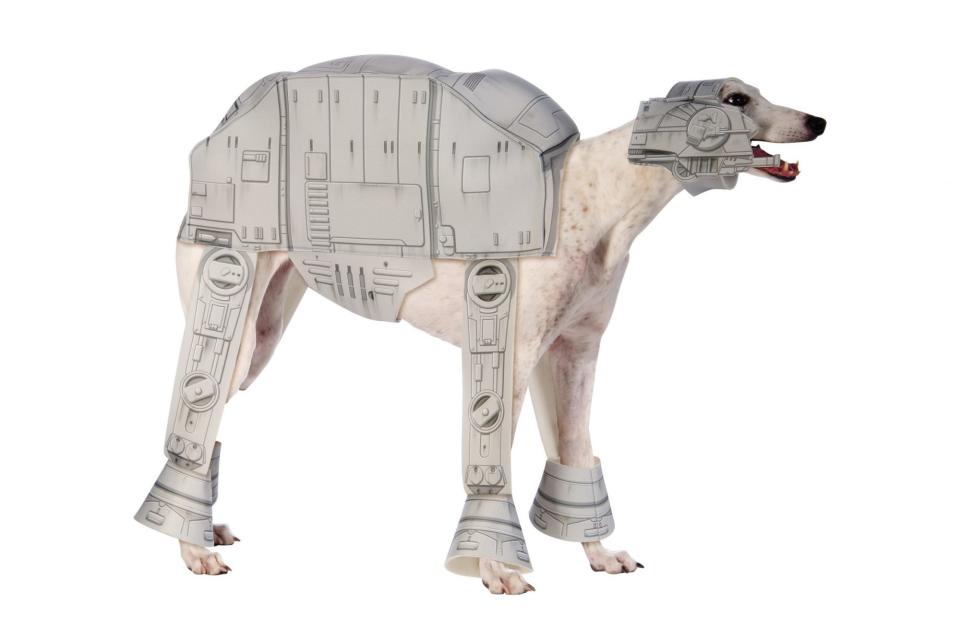 <p>This is <em>Star Wars</em>' AT-AT Walker at its most fetching. </p> <p><strong>Buy it!</strong> AT-AT Walker Pet Costume, $29.99; <a href="https://www.halloweencostumes.com/at-at-imperial-walker-pet-costume.html" rel="nofollow noopener" target="_blank" data-ylk="slk:HalloweenCostumes.com;elm:context_link;itc:0;sec:content-canvas" class="link ">HalloweenCostumes.com</a></p>