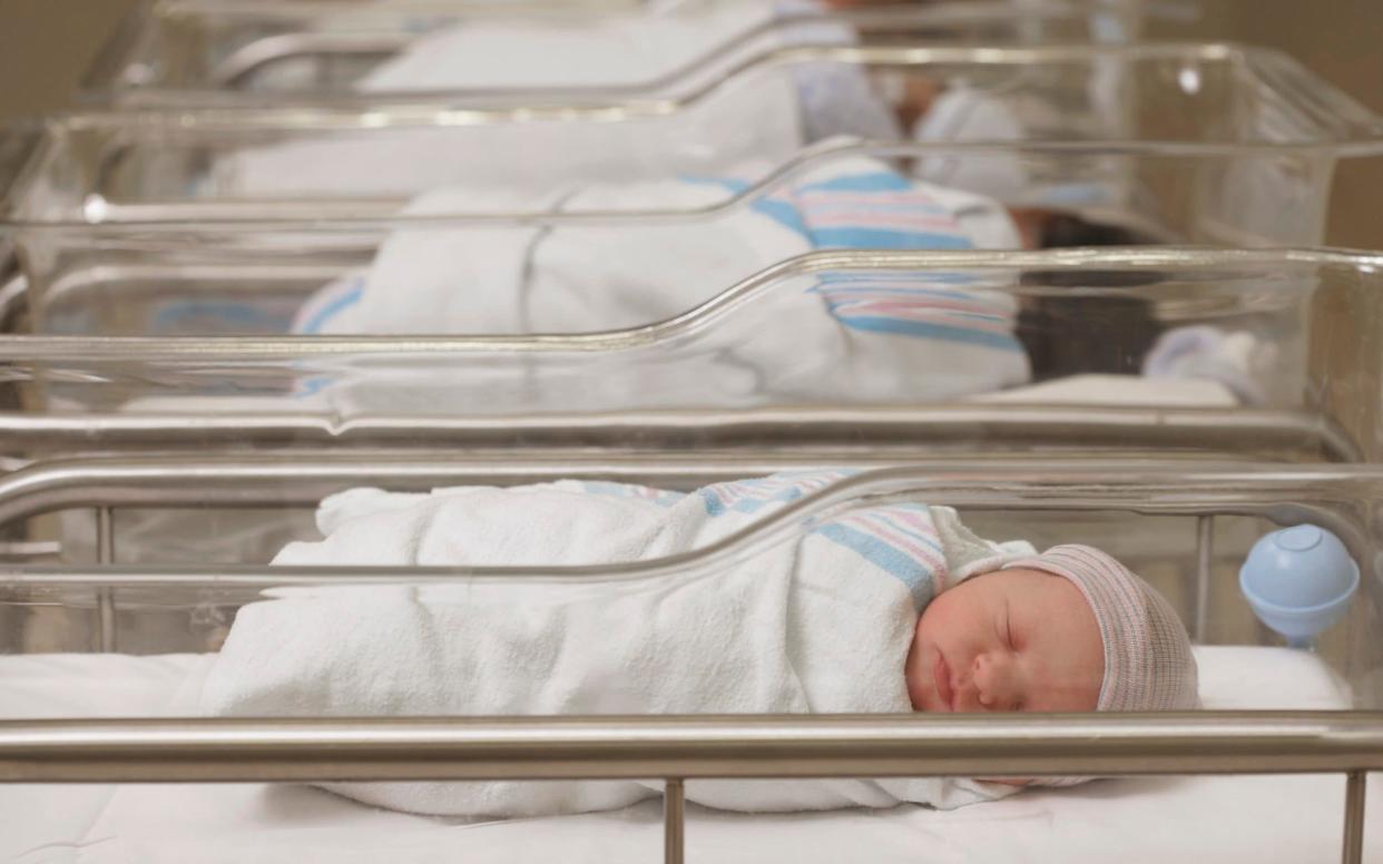 Newborn babies sleeping in hospital nursery - Getty Images Contributor