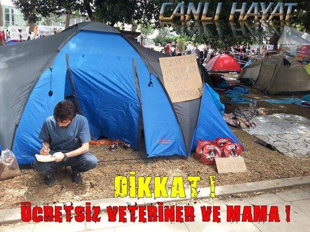 @camanpour Protestors in Turkey are so violent they set up a free vet clinic and giving away free dog and cat food:o) pic.twitter.com/DrbJUHGJf5