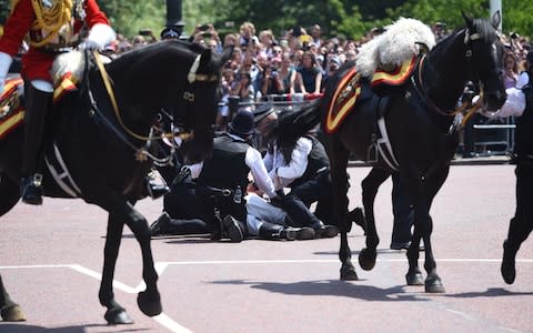 Trooping the Colour - Lord Guthrie fall - Credit: PA Wire