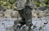 <p>A participant holds his pant during a handball match at the so called “Wattoluempiade” (Mud Olympics) in Brunsbuettel at the North Sea, Germany July 30, 2016.(REUTERS/Fabian Bimmer) </p>