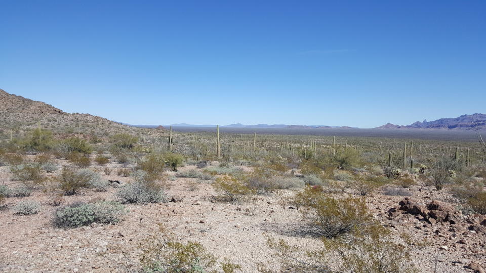 This undated image from Tucson Sector Border Patrol shows the desert terrain close to Arizona's boundary with Mexico near Lukeville, Arizona. (Photo: ASSOCIATED PRESS)