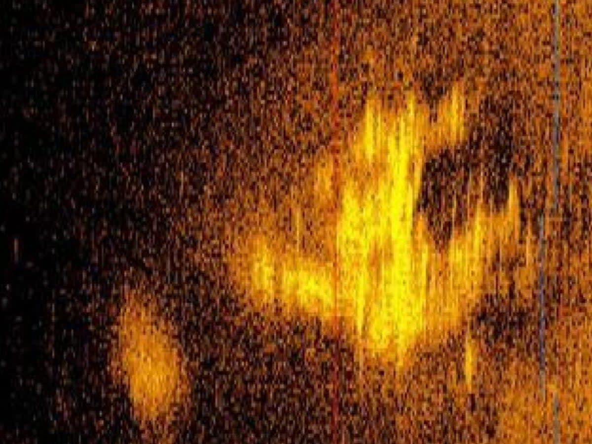 A sonar image captured by Deep Sea Vision, an underwater scanning company, that may show the remains of Amelia Earhart’s lost Lockheed 10-E Electra aircraft in the Pacific Ocean (Deep Sea Vision)