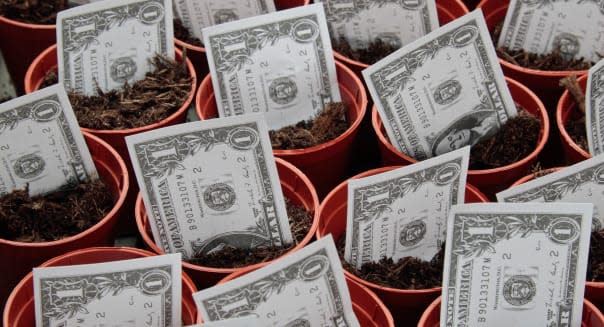 Toy US $1 dollar notes 'growing' in plant pots.